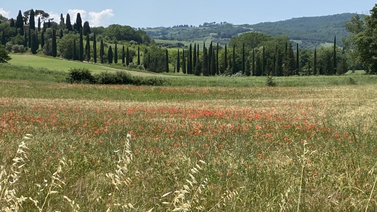 Agriturismo La Collina Siena Exterior foto